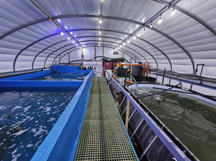 Fully-funded PhD: Enhancing Carbon Sequestration through Innovative Aquaculture Practices 